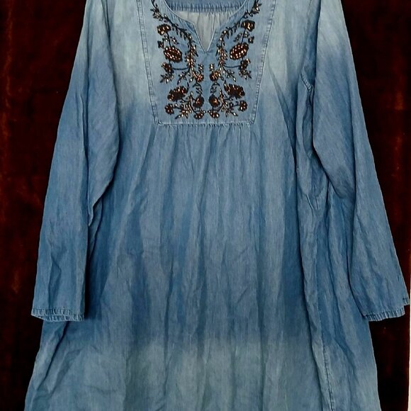 Tantrums Denim Dress w/Beaded Neckline - Picture 1 of 5